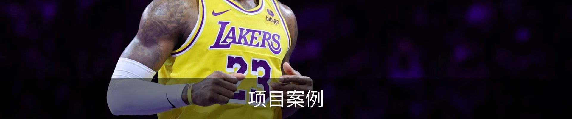 项目案例